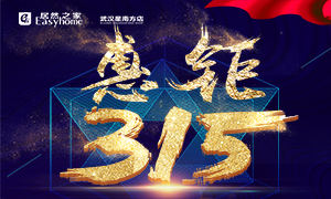 星南方店丨服務(wù)再升級(jí)，惠鉅315！家裝建材購(gòu)物不再斗智斗勇！